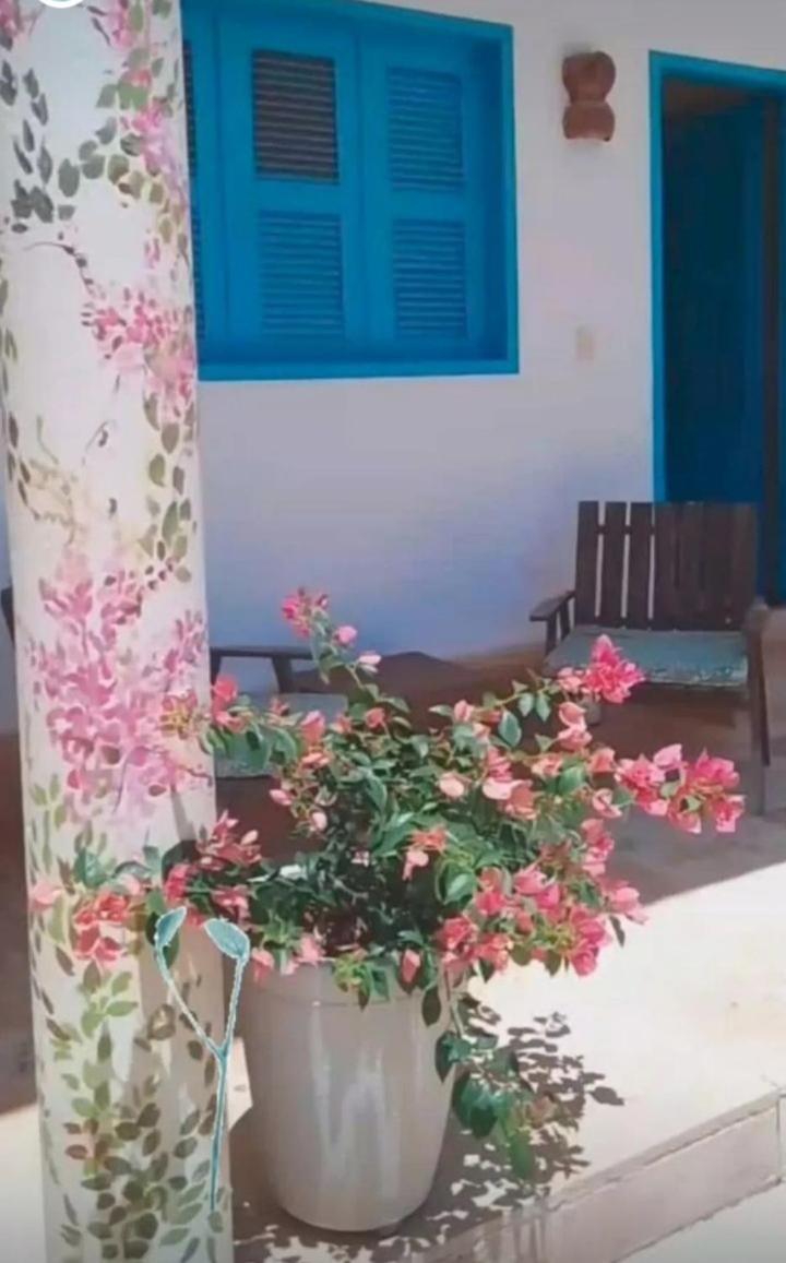 Recidencial Vila Pura Vida Canoa Quebrada Ngoại thất bức ảnh